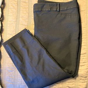 LOFT Size 22 Riviera Pant (black)